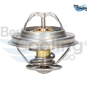 TERMOSTATO VW JETTA A3 A4 96-0