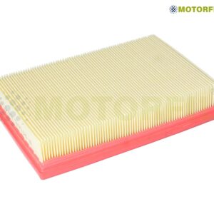 FILTRO AIRE PG 307 03-09 2.0L