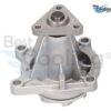 BOMBA AGUA GM CAVALI